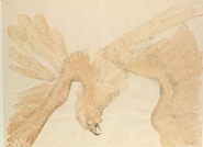 Elisabeth Frink - Fallen Eagle (Works on Paper (Drawings, Watercolors etc.)) h: 28.5 x w: 38.5 in / h: 72.4 x w: 97.8 cm