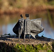 Cloaked Couple III