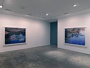 Exhibition View