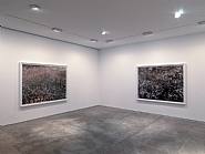 Exhibition View