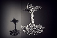 Mathieu Briand - Arbre retourné, 2011