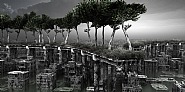 Plant 3