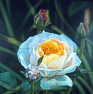 Tom Blackwell - Linda's English Garden Rose (Paintings) h: 182.9 x w: 182.9 cm / h: 72 x w: 72 in