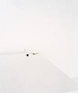 Untitled #1 (aus der Serie: The Fall)