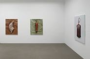Ausstellung still (7.8.-23.10.2010), Raumansicht, Claus Goedicke