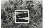 Robert Morris - Blind Time III (Works on Paper (Drawings, Watercolors etc.)) h: 38 x w: 50 in / h: 96.5 x w: 127 cm