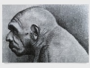 Robert Morris - Distant Relative (Before 1934) (Paintings) h: 96 x w: 144 in / h: 243.8 x w: 365.8 cm