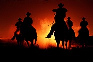 Cowboy #206
