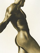 Male Nude, Los Angeles