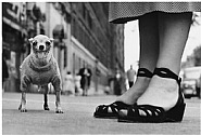 New York City, 1946