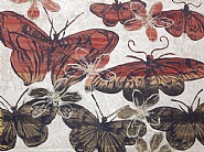 Butterflies 1