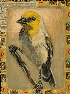 Verdin / Romeo & Julieta