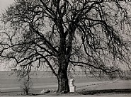 Albert Renger-Patzsch - Kassel Wilhelmst (Photographs) h: 6.5 x w: 9 in / h: 16.5 x w: 22.9 cm