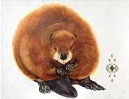 North American Beaver