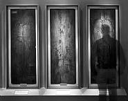 Arteries, Nerves and Veins, Royal College of Surgeons, London