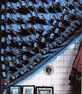 Fists of the Goddess Kali, Kali Temple at Howrah, India