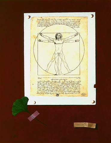  Judith Cherry, Homage to Vitruvius