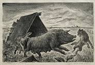 John Steuart Curry - Coyotes Stealing a Pig (Prints and Multiples) h: 10 x w: 15 in / h: 25.4 x w: 38.1 cm
