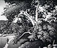 Roger Medearis - The Sycamore I (Prints and Multiples) h: 15 x w: 17.8 in / h: 38.1 x w: 45.2 cm