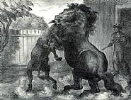 John Steuart Curry - Stallion and Jack Fighting (Prints and Multiples) h: 11.8 x w: 15.4 in / h: 30 x w: 39.1 cm