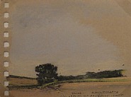 Keith Jacobshagen - Crows (Works on Paper (Drawings, Watercolors etc.)) h: 5 x w: 6.8 in / h: 12.7 x w: 17.3 cm