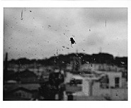 Daido Moriyama - Fly, Suwa City, Nagano (Photographs) h: 14 x w: 17 in / h: 35.6 x w: 43.2 cm