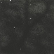Sakura (Cherry Trees), #0023