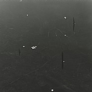Sakura (Cherry Trees), #012