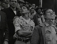 Lisette Model - Belmont Park Race Track, Arms (Photographs) h: 26.7 x w: 33 cm / h: 10.5 x w: 13 in