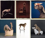 William Wegman: A Thing or Two Exhibition