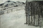 Forest and Mountain