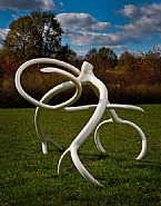 White Steelroots
