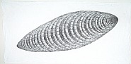 Airship