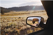 Rearview Mirror