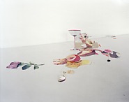 Untitled #8 (From the series: Ill Form and Void Full)