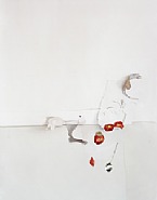 Laura Letinsky, Untitled #16 (From the series: Ill Form and Void Full)