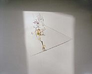 Untitled #13 (From the series: Ill Form and Void Full)