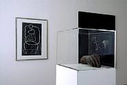 Le Corbusier - Installation View