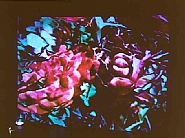 Tony Oursler - Red Devil (Mixed Media) h: 112 x w: 114 in / h: 284.5 x w: 289.6 cm