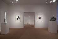 Installation view: The land of the three rivers, o.T., Shiba, o.T., Nature amassement