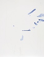 Indigo 6