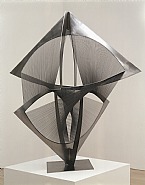 Torsion, Variation