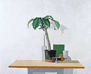 Oasis