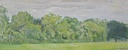 Bank of Trees
