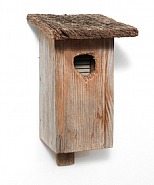 Bird Box, Schoenthal Monastery