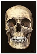 Damien Hirst - The New Religion: The Skull Beneath The Skin (Prints and Multiples) h: 100 x w: 66.7 cm / h: 39.4 x w: 26.3 in