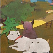Hundepaar / Couple of dogs