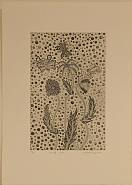 Yayoi Kusama - Flowers and Butterflies (Prints and Multiples) h: 21 x w: 15 in / h: 53.3 x w: 38.1 cm