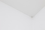 C. C. Spider