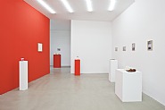 Installation view 2012